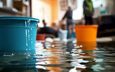 California’s Spring Surprise: Is Your Business Ready for a Flood?